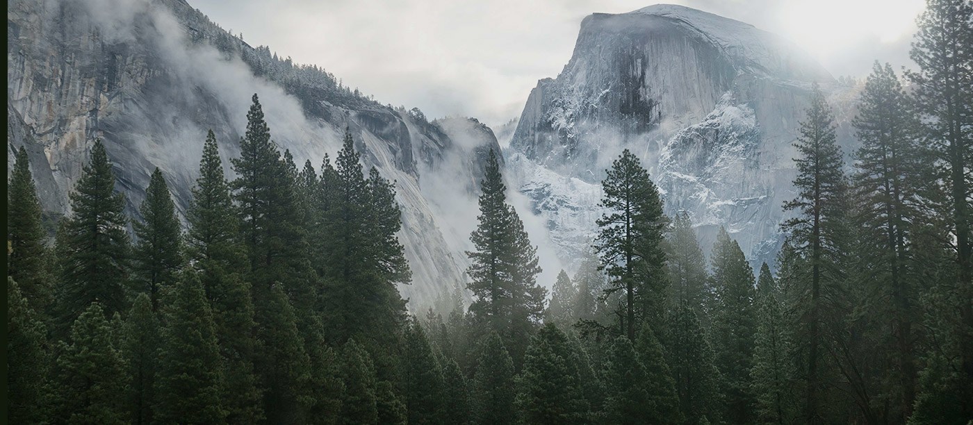 Mountains and trees